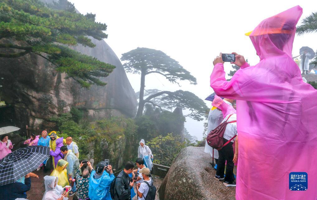 扎金花网站代理